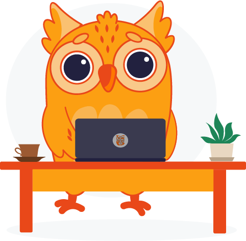 Wise Owl Design website design services